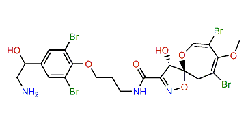 Psammaplysin B